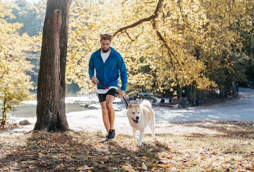 men enjoying a walk in the park