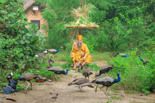 man meditating in a serene environment